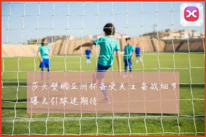 莎头壁纸亚洲杯备受关注 备战细节曝光引球迷期待