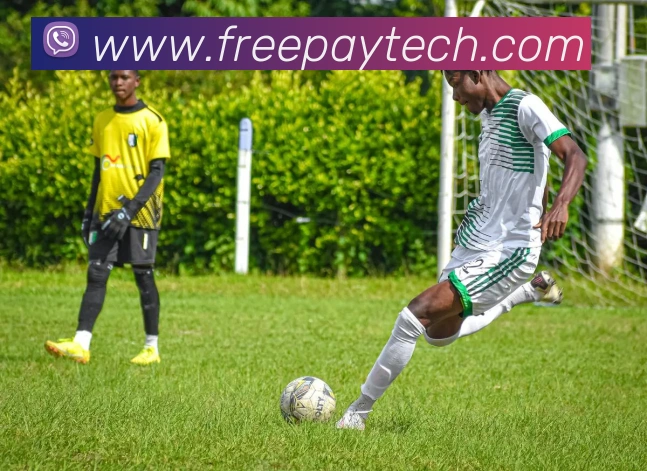 世界杯官网登录appAPP 封面图